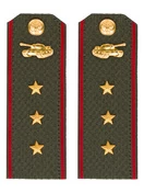 Погоны МО Танковые войска зеленые звание Старший Прапорщик Пластик