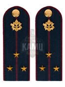 Погоны ФСИН на куртку картон в сборе звание Старший лейтенант 13см