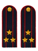 Погоны Полиция в сборе на китель темно-синие Полковник картон Пришивные