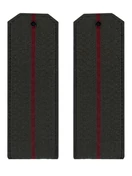 Погоны Росгвардии ФСВНГ повседневные 14х5см пластик