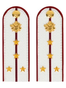 Погоны ФСИН на рубашку ПЛАСТИК цвет белый, звание Капитан 14х5 см