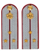 Погоны ФСИН на рубашку ПЛАСТИК, звание Старший лейтенант цвет серый 14х5 см