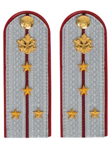 Погоны ФСИН на рубашку ПЛАСТИК, звание Капитан цвет серый 14х5 см