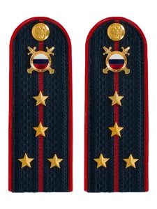 Погоны МВД внутренняя служба на куртку темно-синие ПЛАСТИК звание Капитан