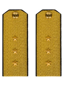 Погоны парадные ВМФ Старший Мичман цвет золотой