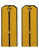 Погоны парадные ВМФ Младший - Лейтенант цвет золотой
