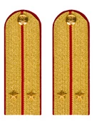 Погоны МВД парадные звание Лейтенант цвет золотой