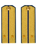 Погоны парадные ФСБ золотые картон звание Лейтенант