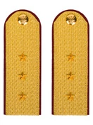 Погоны ФСИН парадные Старший Прапорщик картон цвет золотой