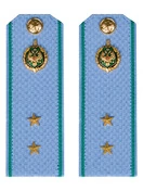 Погоны Пограничной службы ПС ФСБ голубые картон звание Прапорщик