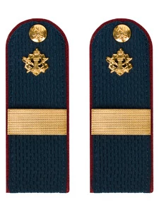 Погоны ФСИН звание Старший Сержант картон цвет темно-синий 14х5 см