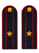 Погоны Полиция в сборе на китель темно-синие Майор картон 13см Пришивные