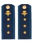 Погоны ВДВ с фурнитурой синие Старший прапорщик Пластиковые