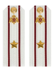 Погоны Росгвардии ФСВНГ на рубашку белые 14х5 см Картон звание Майор