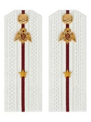 Погоны Росгвардии ФСВНГ на рубашку белые 14х5 см ПЛАСТИК звание Младший Лейтенант