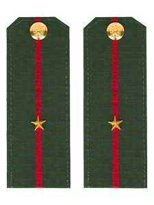 Погоны МО офисные зеленые звание Младший Лейтенант Пластик