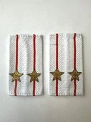 Фальш погоны Полиции нового образца БЕЛЫЕ звание Подполковник 9х5 см