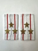 Фальш погоны Полиции нового образца БЕЛЫЕ звание Полковник 9х5 см