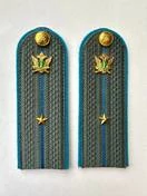 Погоны ФССП с фурнитурой серые звание Младший Лейтенант картон 14х4,5см с Голубым Кантом