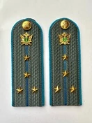 Погоны ФССП с фурнитурой серые звание Капитан картон 14х4,5см с Голубым кантом