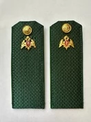 Погоны Росгвардии ФСВН 14х5 см ПЛАСТИК звание Рядовой цвет сосна зеленая