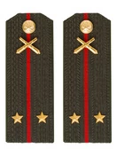 Погоны МО РВиА зеленые звание Лейтенант ПЛАСТИК