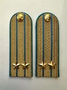 Погоны ФССП парадные золотые с фурнитурой звание Подполковник Картон