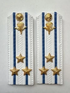 Погоны ВДВ с фурнитурой белые Полковник КАРТОН