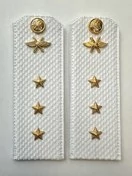 Погоны ВКС ВВС с фурнитурой белые Старший Прапорщик КАРТОН