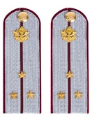 Погоны ФСИН на рубашку картон (в сборе) укомплектованные с фурнитурой звание Cтарший лейтенант 14х5 см