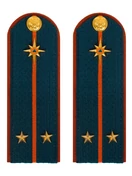 Погоны МЧС на куртку 14х5см картон (в сборе) укомплектованные с фурнитурой звание лейтенант