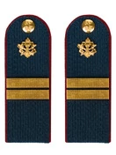 Погоны ФСИН звание Младший Сержант картон цвет темно-синий 14х5 см