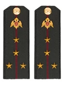 Погоны Росгвардии ФСВНГ на куртку 14х5 см ПЛАСТИК звание Капитан