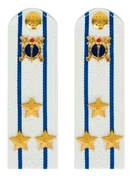 Погоны Юстиции белые ПЛАСТИК звание Полковник 14см