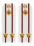 Погоны Росгвардии ФСВНГ на рубашку белые 14х5 см Картон звание Подполковник