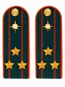 Погоны МЧС на куртку 14х5см ПЛАСТИК (в сборе) укомплектованные с фурнитурой звание Полковник