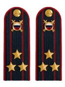 Погоны МВД внутренняя служба на куртку темно-синие ПЛАСТИК звание Полковник