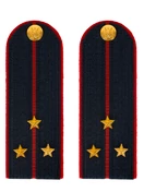 Погоны Полиция в сборе на китель темно-синие Старший лейтенант картон 13см Пришивные