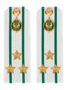 Погоны Пограничной службы ПС ФСБ в сборе КАРТОН белые звание Полковник 14х5см