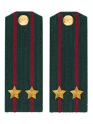 Погоны Росгвардии ФСВНГ на китель 14х5 см ПЛАСТИК звание Подполковник