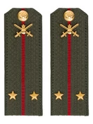 Погоны МО Сухопутные войска зеленые звание Лейтенант Картон