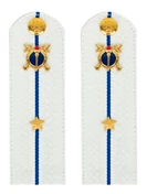 Погоны Юстиции белые ПЛАСТИК звание Младший лейтенант 14см