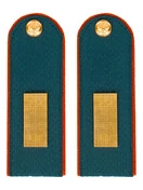 Погоны МЧС на китель Картон с фурнитурой звание Старшина