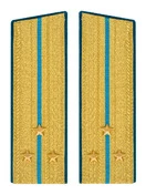 Погоны ВДВ, ВКС, ВВС парадные золотые с фурнитурой Скос на Китель звание Старший Лейтенант