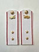 Погоны МО Танковые войска белые звание Прапорщик Картон