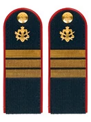 Погоны ФСИН звание Сержант ПЛАСТИК цвет темно-синий 14х5 см