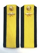 Погоны ВКС ВВС с фурнитурой темно-синие Старшина ПЛАСТИК