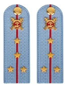 Погоны Полиции картон голубые Капитан 12см