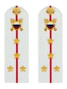 Погоны МВД внутренняя служба на рубашку белые ПЛАСТИК Звание Капитан 13,5см