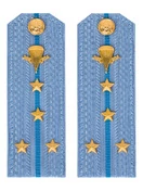 Погоны МО ВДВ голубые на рубашку Капитан в сборе Картон